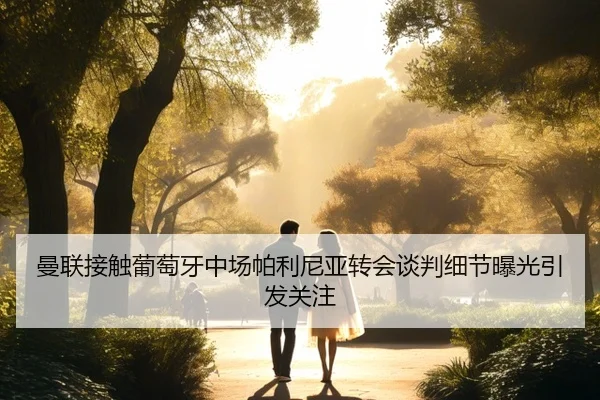 曼联接触葡萄牙中场帕利尼亚转会谈判细节曝光引发关注