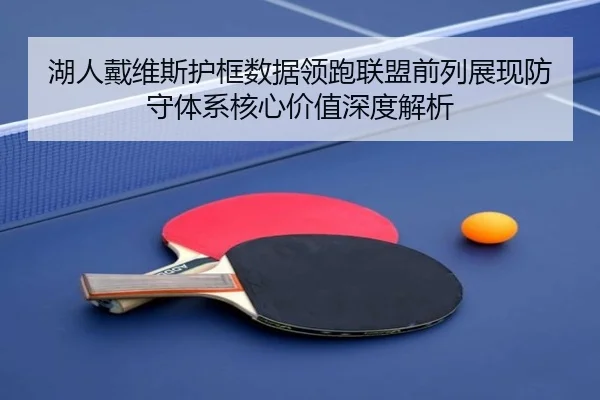湖人戴维斯护框数据领跑联盟前列展现防守体系核心价值深度解析
